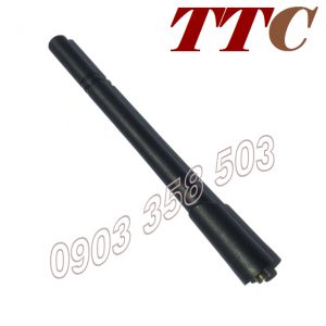 Anten TG-T10